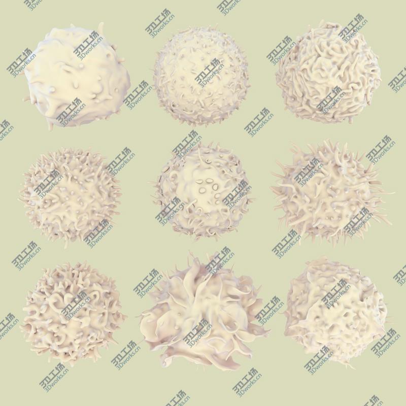 images/goods_img/20210114/3D Hummingbird Fur Animated Rigged model/1.jpg